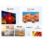 TCL 43V5C-UK 43-Inch QLED Full HD TV  HDR10+ Dolby Vision & Google TV