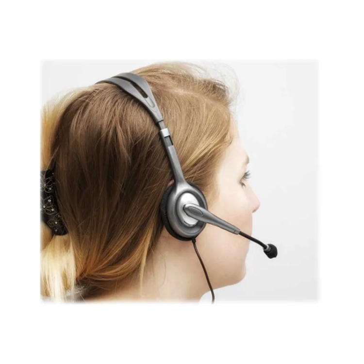 Logitech H110 Wired Headset