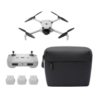 DJI Lito 1 Fly More Combo DJI RC-N3