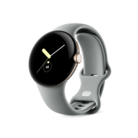 Google Pixel Watch 1 41mm Champagne Gold Stainless Steel Case with Hazel Active Band 4G Smartwatch