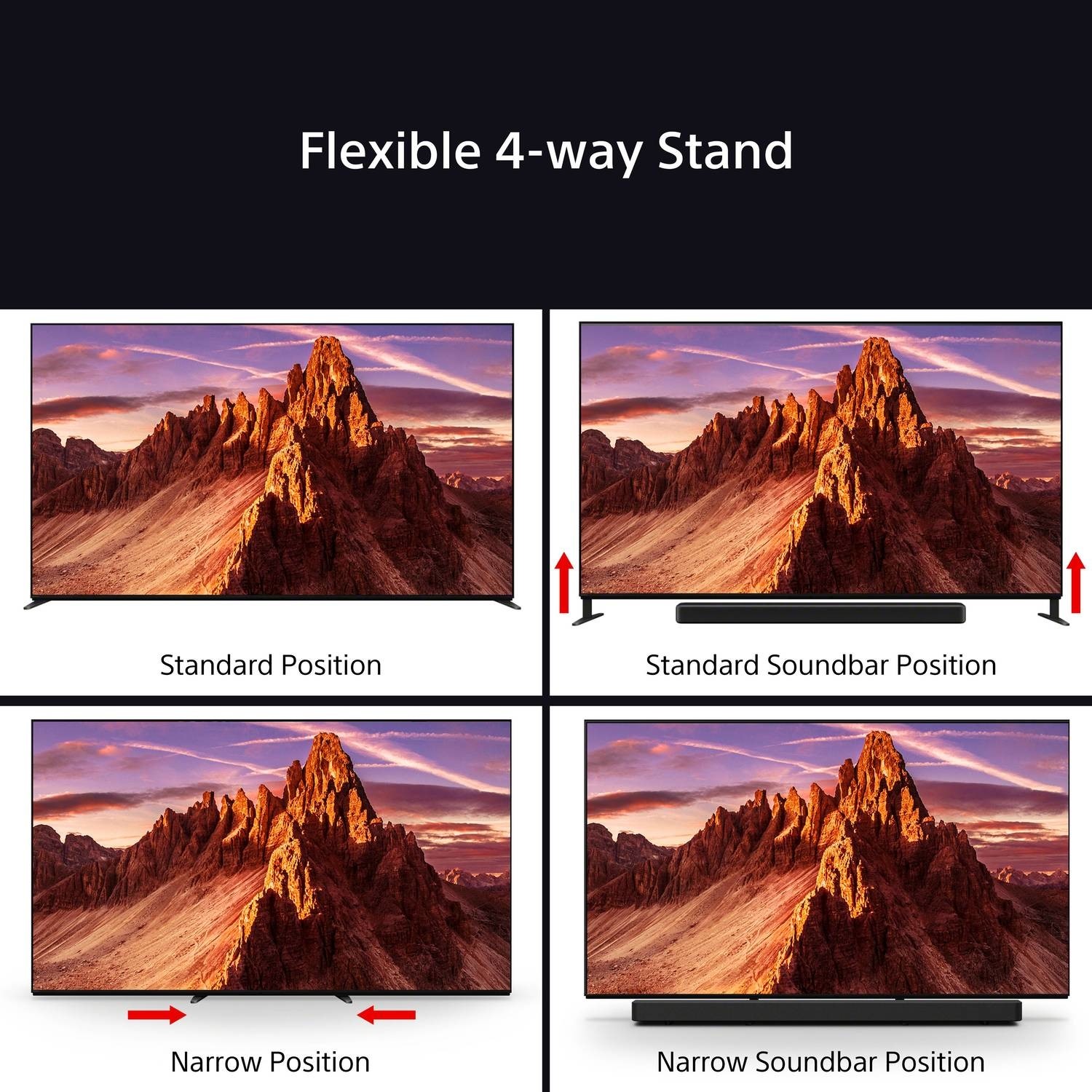Flexible 4-Way Stand