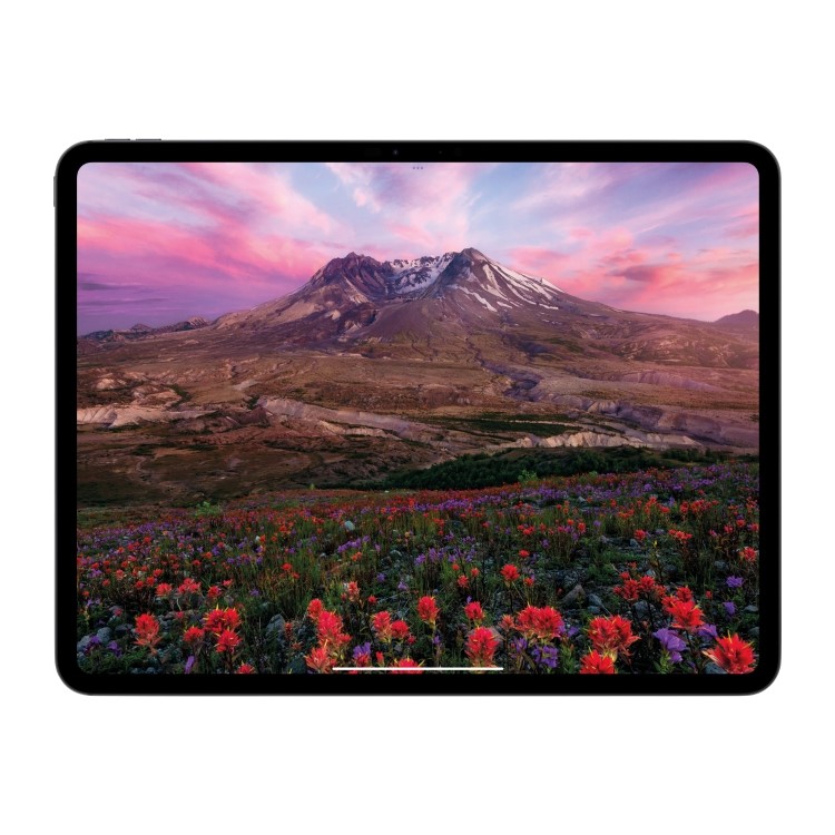 Apple iPad Pro 2024 11" Standard Glass Silver 2TB Wi-Fi Tablet
