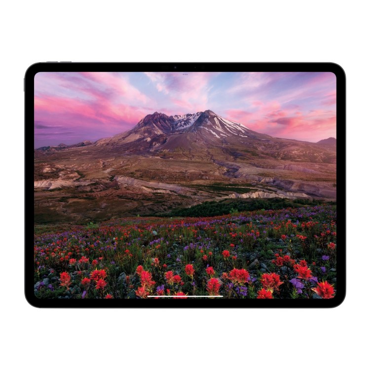 Apple iPad Pro 2024 11" Space Black 2TB Wi-Fi & Cellular Tablet