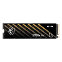 MSI SPATIUM 2TB PCIe 4.0 NVMe M.2 2280 Internal SSD