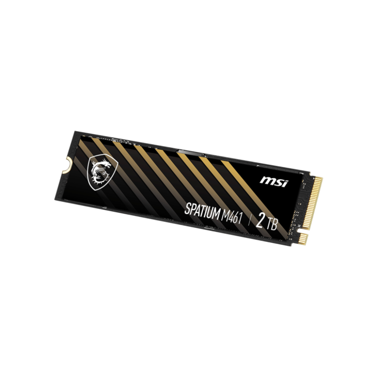 MSI SPATIUM 2TB PCIe 4.0 NVMe M.2 2280 Internal SSD