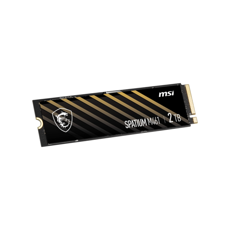 MSI SPATIUM 2TB PCIe 4.0 NVMe M.2 2280 Internal SSD