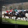 Acer KA242Y P6 24" IPS Full HD 144Hz Monitor