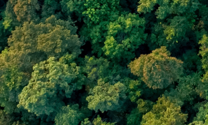 Eco-friendly