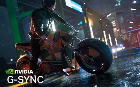 G-Sync Compatible